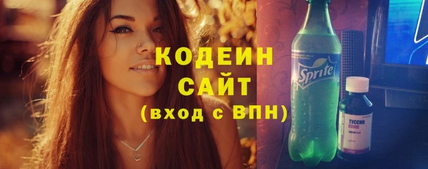 гашик Арсеньев