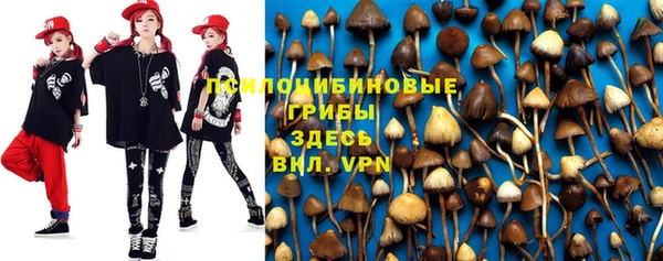 прущая мука Аркадак