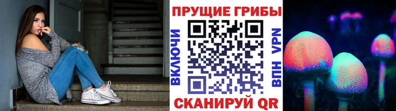 Галлюциногенные грибы прущие грибы  Макарьев 